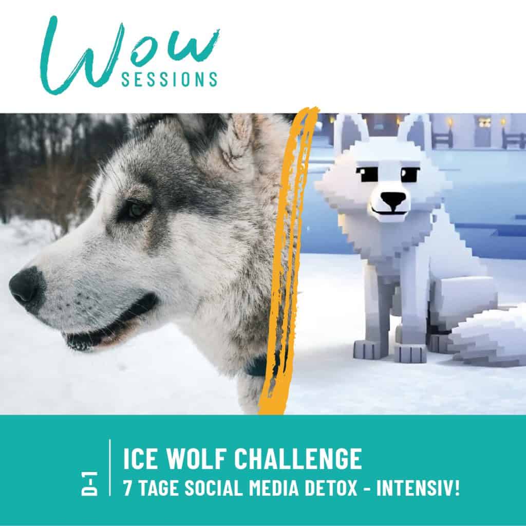 Cover der Podcastfolge_D-1 / ICE WOLF CHALLENGE – In dir kämpfen zwei Wölfe. Welchen fütterst du? / Alwina Simon Wow Sessions, ein Podcast über das Leben an sich