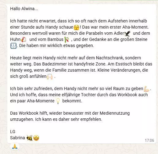 Rezension Workbook Bewusst Offline 7 Tage Social Media Detox