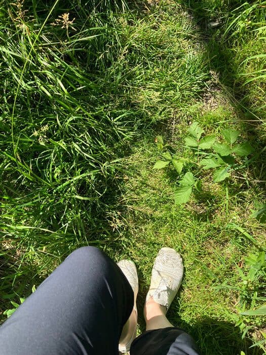 Auf dem Weg - Silent Walk Nummer 4_Podcast D-Days for Detox Die Bewegung für digitale Selbstbestimmung. Hier gehen wir gemeinsam, aber jeder seinen eigenen Weg.