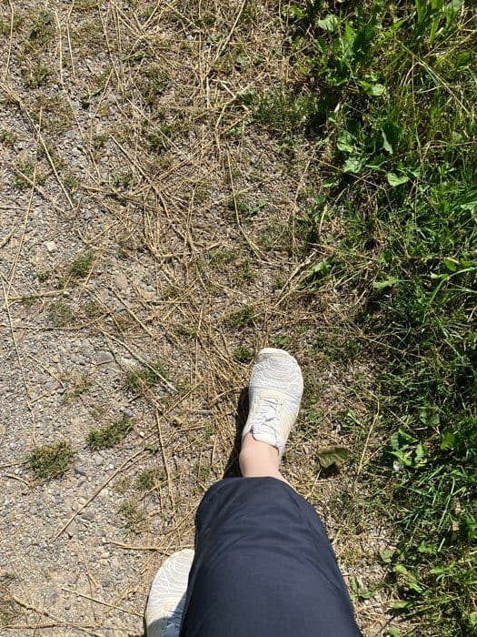 Auf dem Weg - Silent Walk Nummer 6_Podcast D-Days for Detox Die Bewegung für digitale Selbstbestimmung. Hier gehen wir gemeinsam, aber jeder seinen eigenen Weg.