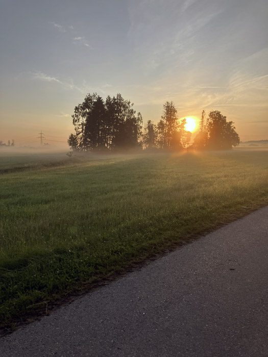 Nebliges Feld im Morgenlicht mit Baumsilhouetten am Horizont, durch die eine große Sonne aufgeht, Sinnbild für innere Weite auf dem Silent Walk