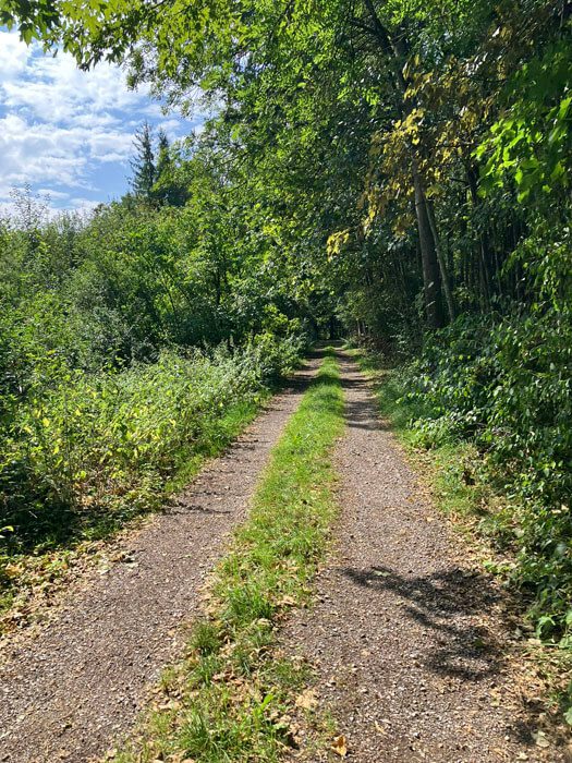 Ein Weg im Grünen von der Sonne beschienen mit sommerlich blauem Himmel