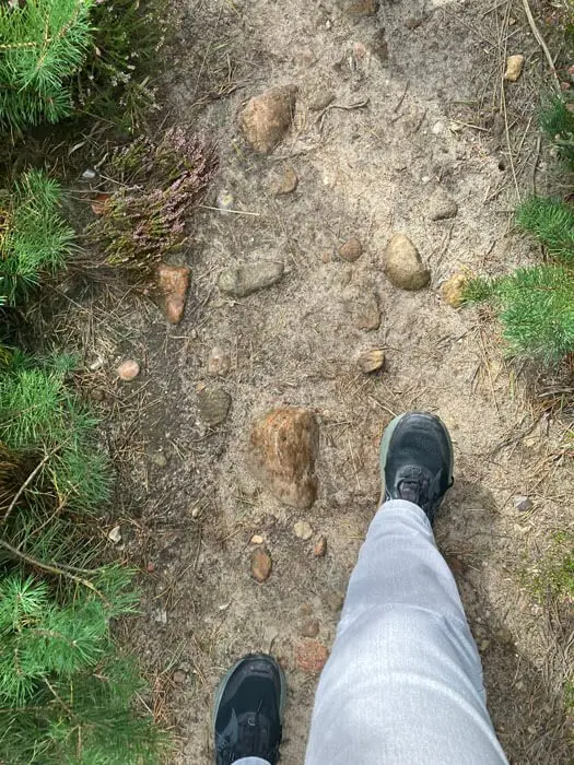 Blick von oben auf die eigenen Füße auf einem naturbelassenen Waldweg, ein Sinnbild dafür, beim Silent Walk kreisende Gedanken loszulassen
