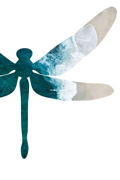 Beitragsbild der Podcastfolge_O-3 / Kreative Schöpfung, die sich in der realen Welt manifestiert _ Offen Gesprochen... über Gott und die Welt mit Martin Kolodziej und Alwina Simon - Ich & DU, Martin - Wow Sessions, ein Podcast über das Leben an sich // Zu sehen ist eine Libelle, die durch eine Draufsicht auf einen Strand mit viridianfarbenen Wellen dargestellt wird, die auf einen weißen Sandstrand auflaufen. // Credits: Privater Bildbestand von Alwina Simon – 2024-02-16_Credits Hintergrundbild Malediven: Shifaaz Shamoon via unsplash.com